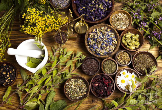 How and which Medicinal Plants improve digestion?