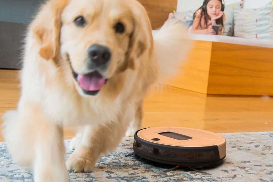 Maintenance Tips for Keeping Your Robot Vacuum Running Smoothly